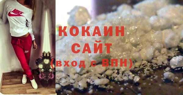 гашик Данков
