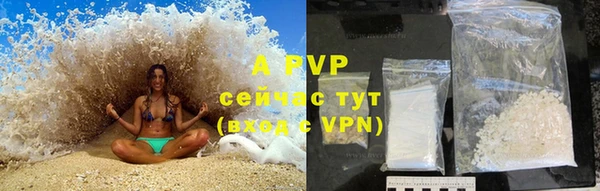 гидропоника Белокуриха
