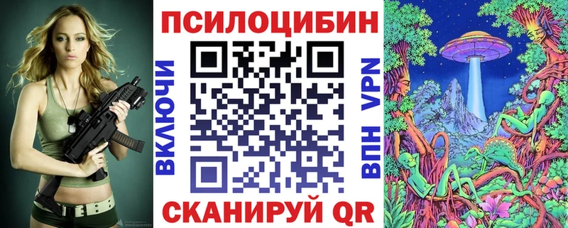 Галлюциногенные грибы Psilocybine cubensis где можно купить наркотик mega как зайти Куйбышев